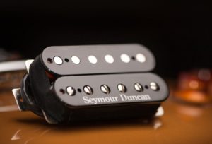 Seymour Duncan Pearly Gates Bridge