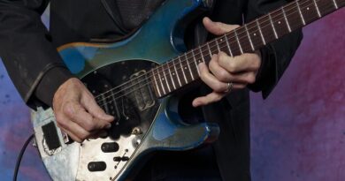 DiMarzio Steve Morse Banner