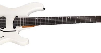ESP LTD Deluxe MV-1000 Banner